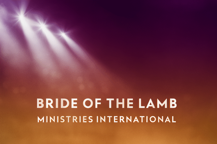 a plain canvas with 17