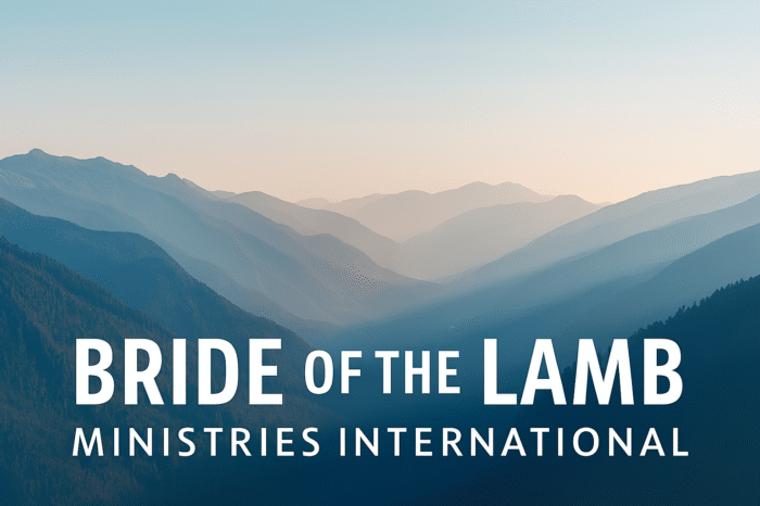 design a canvas with23